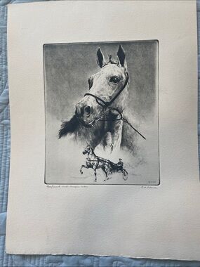 R.H. Palenske "Greyhound" Classic Horse Portrait Print in Black and White